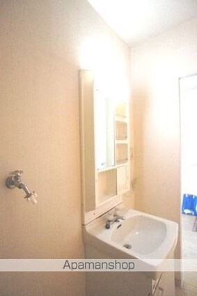 フレグランス平山Ａ[2K/43m2]の洗面所