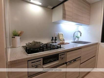 ザ・パークハビオ市ヶ谷イースト[1LDK/53.87m2]のキッチン