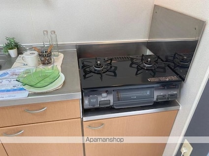 カメリアハイツ　Ｂ棟[2DK/50.42m2]のキッチン