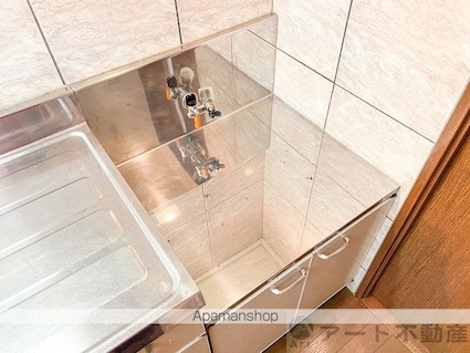 ブルーミングローズ[1K/26.77m2]の内装6