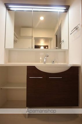 東京都立川市錦町２丁目[1LDK/37.09m2]の洗面所