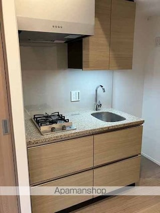 ザ・パークハビオ代々木[1R/23.6m2]のキッチン