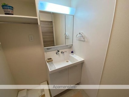 グランデージ　サコ[1LDK/46.44m2]の洗面所