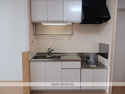 パークウィンド[2DK/53.91m2]のキッチン