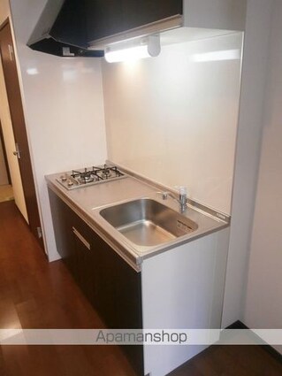 ウイステリア名城[1K/30.72m2]のキッチン