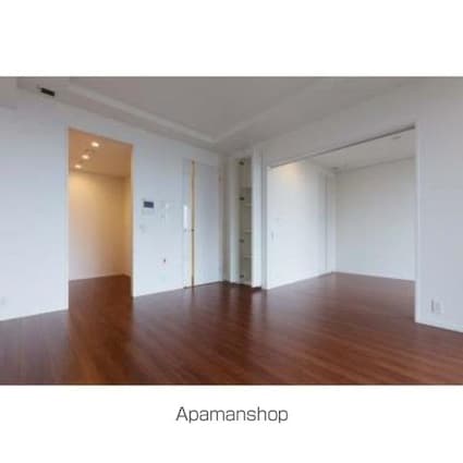 パークコート千代田富士見ザタワー[1LDK/42.51m2]のその他内装2