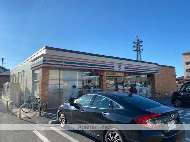 スターチスの周辺写真