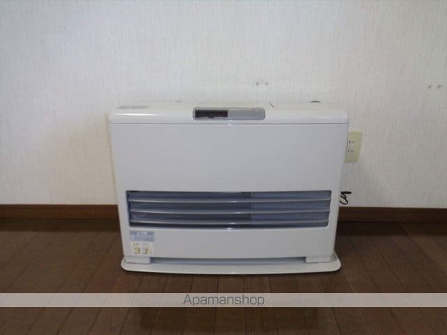 ダンディライオンのその他写真