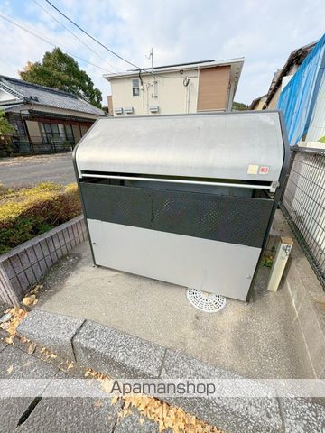 プリムローズのその他写真