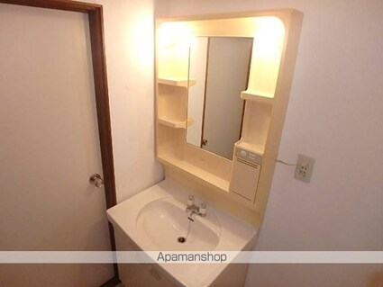 グリーンハイツ（小平市）[2DK/40m2]の洗面所