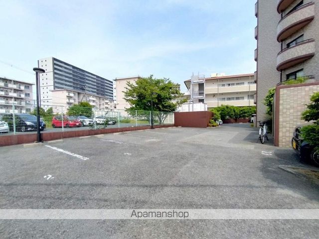 メルヴェーユコマドリのその他写真