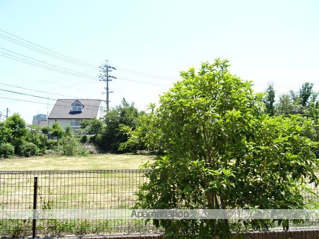 SJT HAMANAKOのその他写真