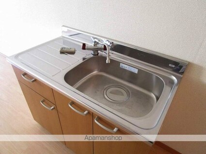 ロックバレー大野[1R/24.16m2]のキッチン