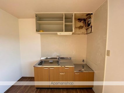 グリーンピアハイツＡ・Ｂ[2LDK/55.4m2]のキッチン