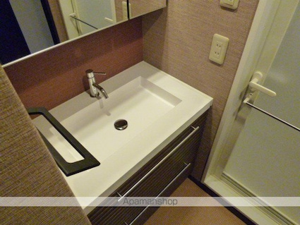 エルミナリゾート南草津[1R/28.6m2]の洗面所