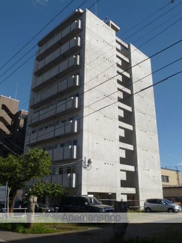 willDo南12条