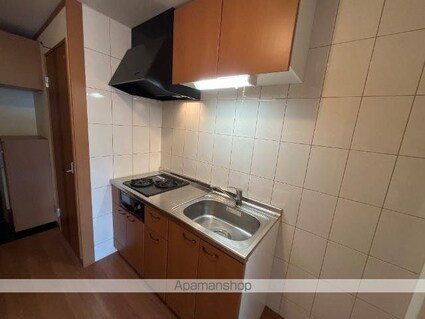 エクセルハイム[1K/30.96m2]のキッチン2