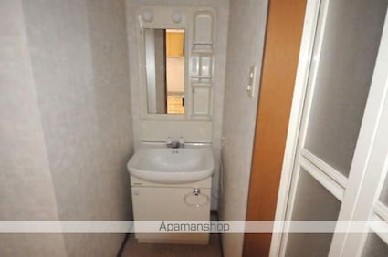 パークレジデンス城南[1K/34.2m2]の洗面所