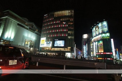 レイフラット新宿[1R/19.79m2]の周辺8