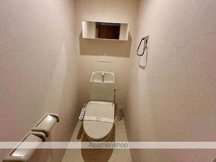 リーセント・メゾンＳ[1LDK/41.69m2]のトイレ