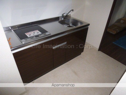 エルミナリュクス[1K/29.86m2]のキッチン