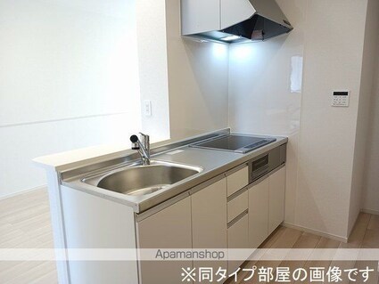 メゾン　マルベリィ[2LDK/63.03m2]のキッチン