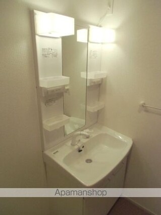 東京都日野市大字日野[1K/32.9m2]の洗面所