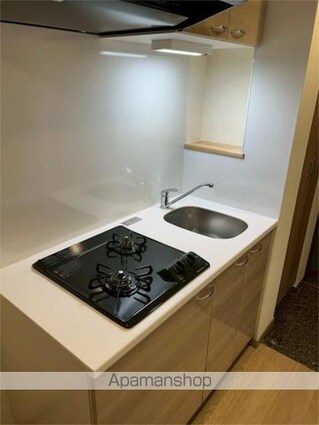 ルーブル練馬赤塚[1K/25.52m2]のキッチン