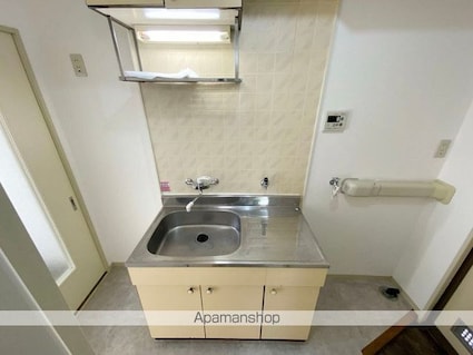 どみいるみずの[1K/17.55m2]のキッチン