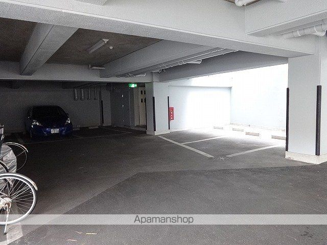 SOコスモスのその他写真