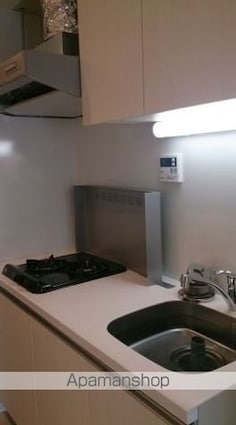 プラウドフラット板橋本町[1K/25.3m2]のキッチン