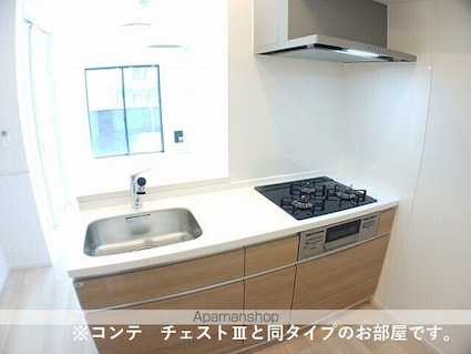 ラクーン守山[1LDK/42.51m2]のキッチン
