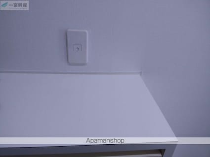 アイリッシュコート西石井[2LDK/51.03m2]の内装5