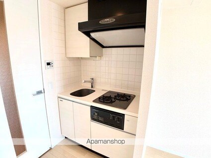 ジョイシティ住吉Ⅱ[1R/24.01m2]のキッチン2