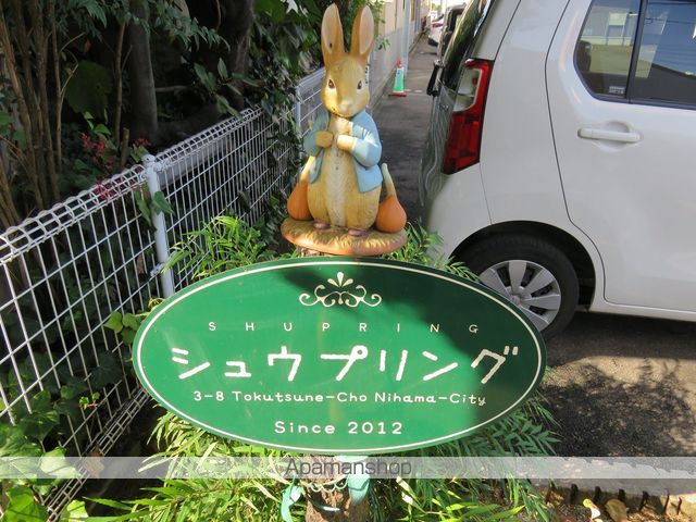 シュウプリングのその他写真