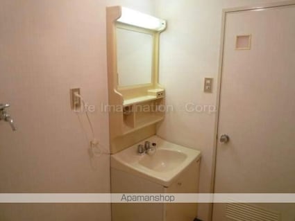 滋賀県野洲市野洲[2K/36.69m2]の洗面所