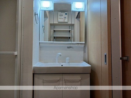 フェリオ[2LDK/61.88m2]の洗面所