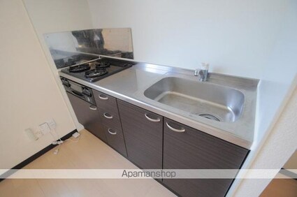 レオネクストルナカーサ[1LDK/46.94m2]のキッチン