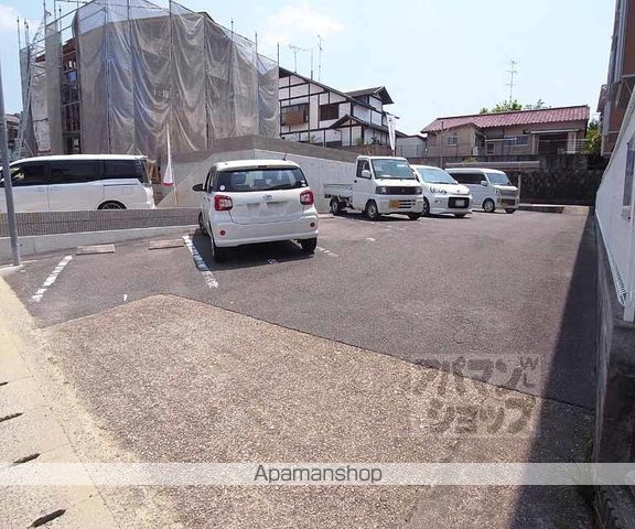 タウニィアマワカの周辺写真