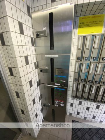 セントポーリアカルーアのその他写真