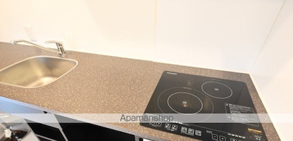 東京都港区南青山４丁目[1R/16.84m2]のキッチン