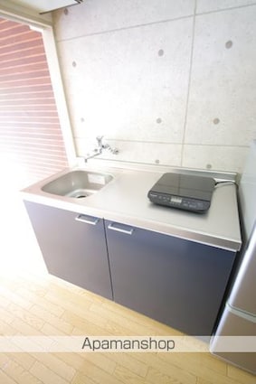 グリーンシャトル堀口[1R/17.41m2]のキッチン