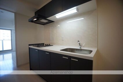 ＧＲＡＣＥ　ＲＥＧＡＬＩＡ（グレース　レガリア）[1K/29.76m2]のキッチン