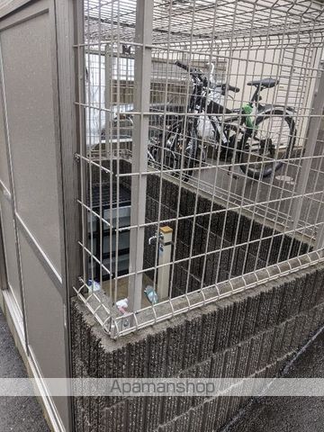 グレーシア平和のその他写真