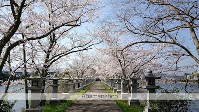 セナングAの周辺写真