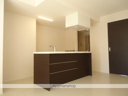 Ａｍａｌｆｉ　（アマルフィ）[1LDK/48.21m2]のキッチン1