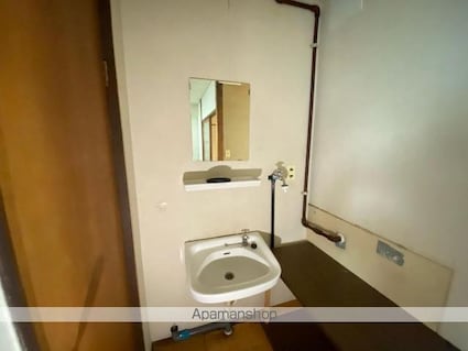 幸ビル[2K/41.4m2]の洗面所