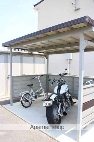 秋桜 2011 Aのその他写真