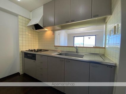 レイクウエストⅡ[2LDK/59.13m2]のキッチン