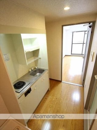 フェニックス南江戸[1K/23.87m2]のキッチン